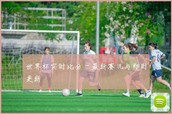世界杯实时比分 - 最新赛况与即时更新